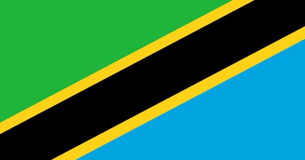 Tanzania flag in vector