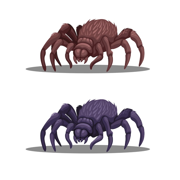 Tarantula or Giant Spider animal character in two color set illustration vector