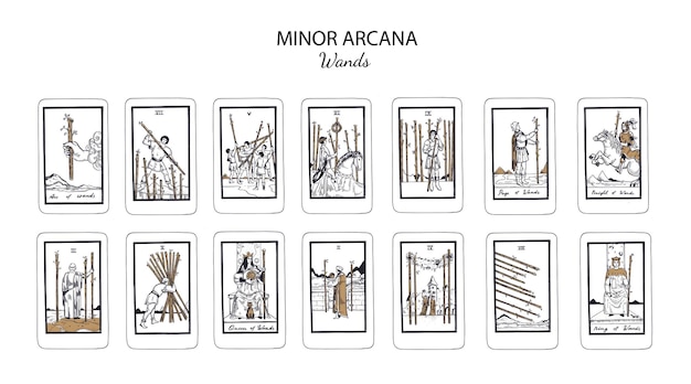 Vector tarot card vector deck minor arcana wands occult esoteric spiritual tarot isolated colored