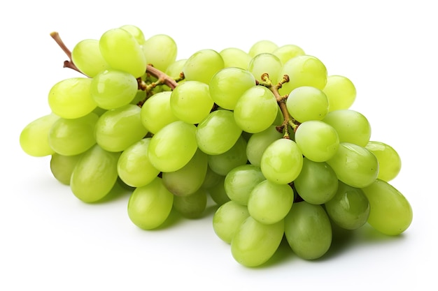 Vector tasty green grape isolated on the white background