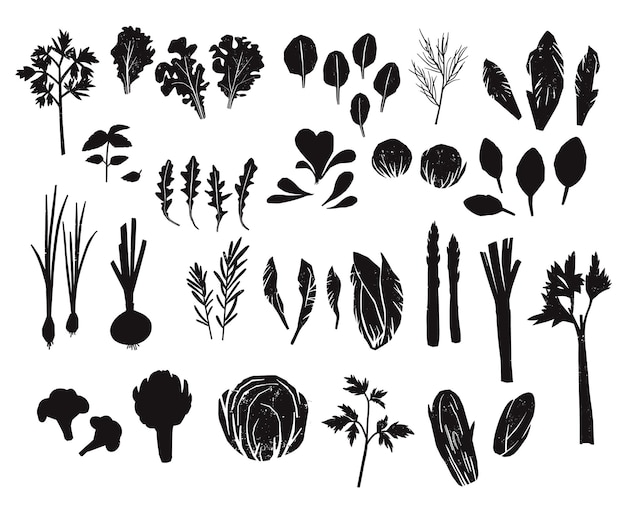 Tasty vegetables salad leaves isolated Vectors Silhouettes