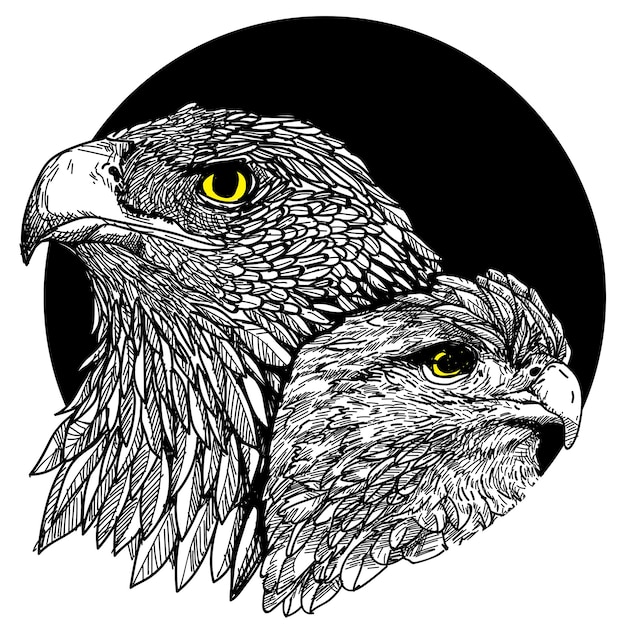 Tattoo art sketch eagle in flowers black and white