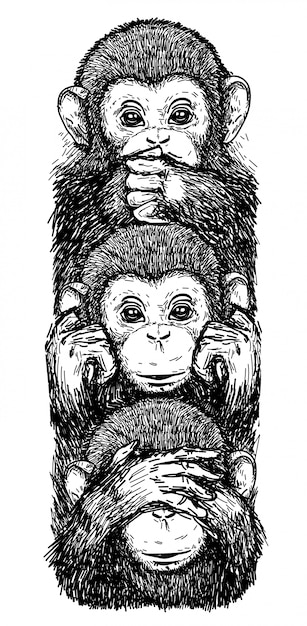 Tattoo art sketch monkeys, ears closed, eyes closed, closed mouth black and white