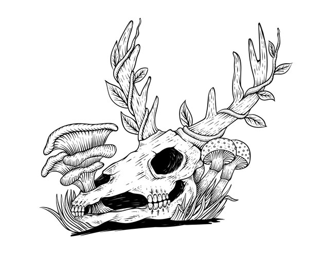 Vector tattoo design skull deer with mushroom