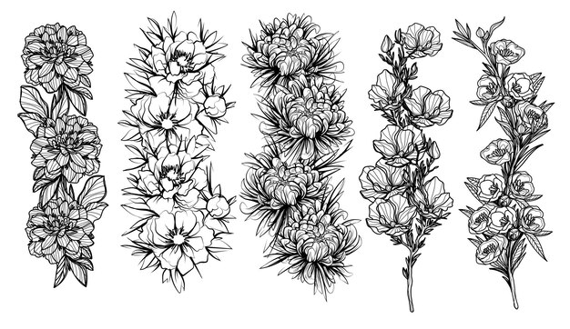 Vector tattoo flowers art hand drawing sketch black and white