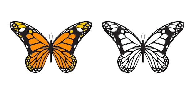 Tawny Orange Monarch butterfly vector illustration