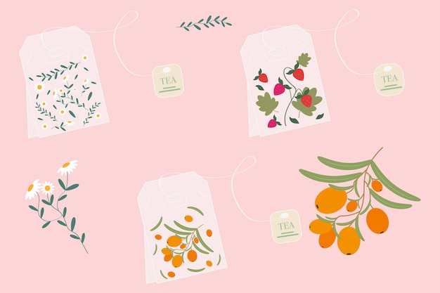 Tea bags with chamomile strawberries and sea buckthorn Vector illustration of tea