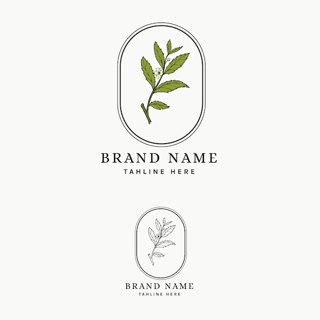 Tea leaves hand drawing logo for your brand