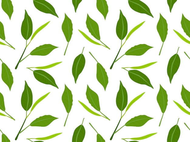 Tea leaves seamless pattern Green fresh leaves isolated on white background Tea twigs