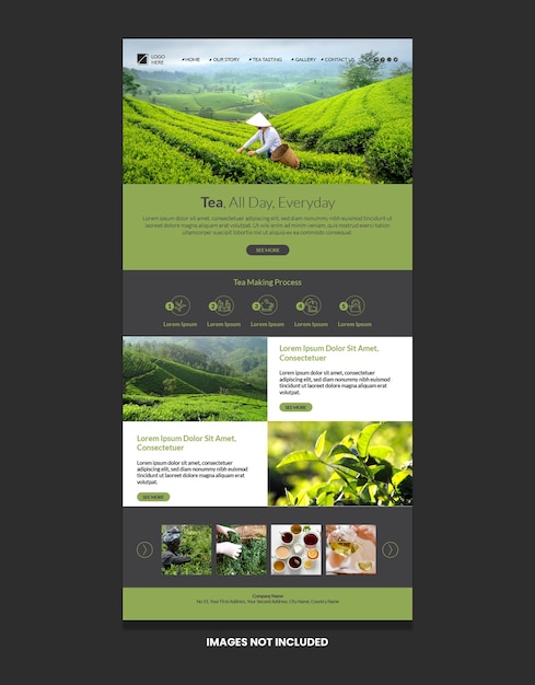 Tea Newsletter Design for Email Template