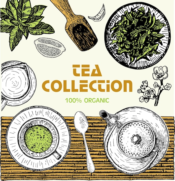 Tea shop emblem, banner with hand drawn tea leaves. Tea sketch vector illustration. Card design. Poster for tea house. Hand drawn set. Engraved style.