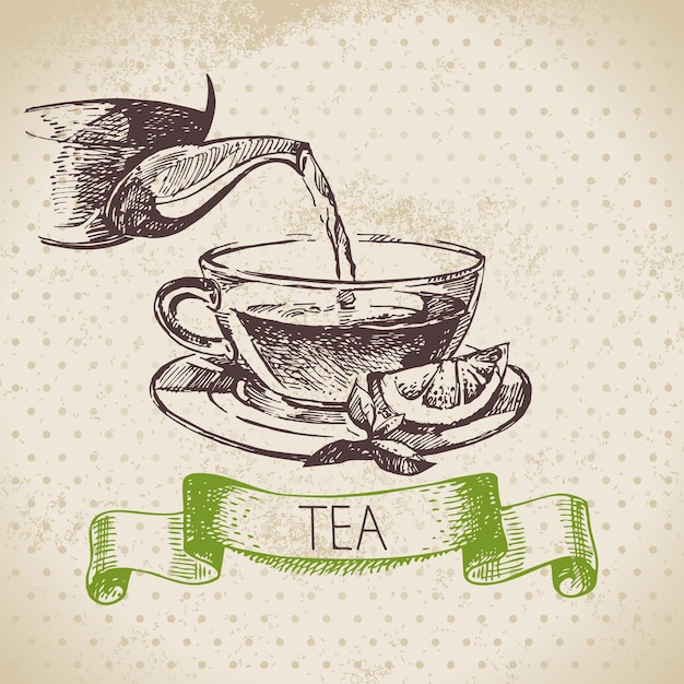 Vector tea vintage background. hand drawn sketch illustration. menu design