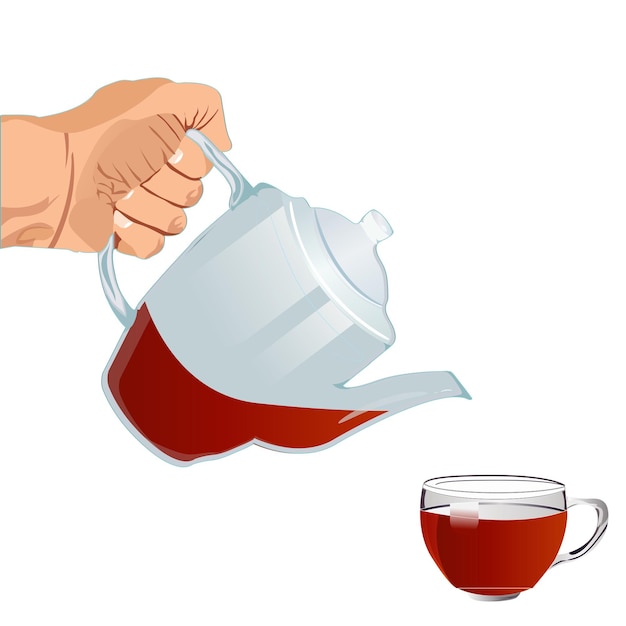 Teapot with Herbal Tea and Cup Vector