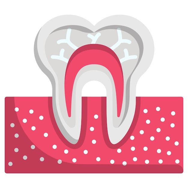 Teeth with pulp visible blood Vessels concept The Anatomy of a Tooth vector icon design Dentistry