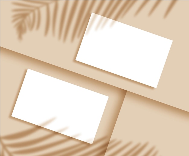 Template business card mockup on both sides with shadow of palm leaves