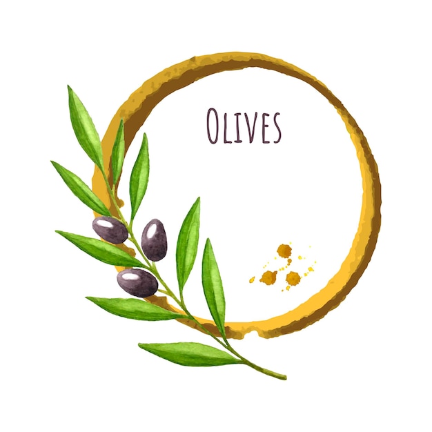 Template for label banner postcard vector watercolor branch of olives with a round spot place