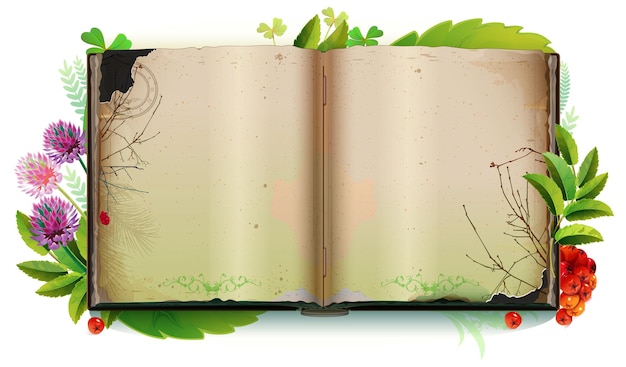 Vector template open book blank sheet page herbarium collection plant