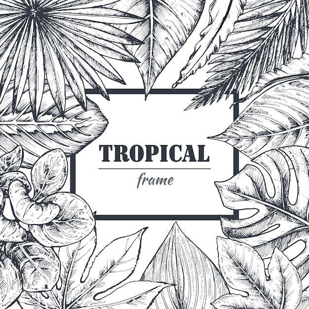 template with frame of hand drawn tropical palm leaves, jungle plants.