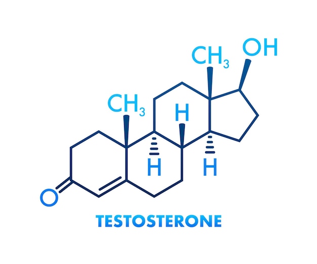 Testosterone formula Vector thin line icon of testosterone molecular structure