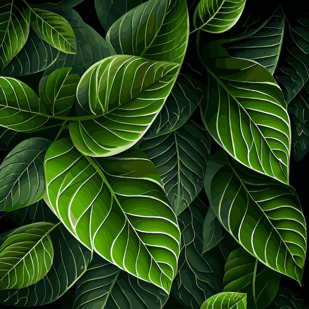 Texture of green leaves green background pattern Vector