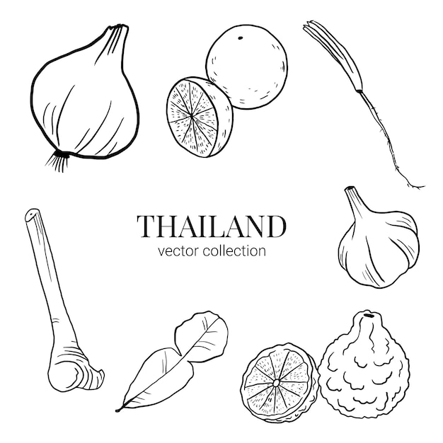 Thailand Travel hand draw doodle element