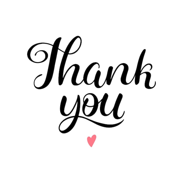 Thank you calligraphy vector illustration