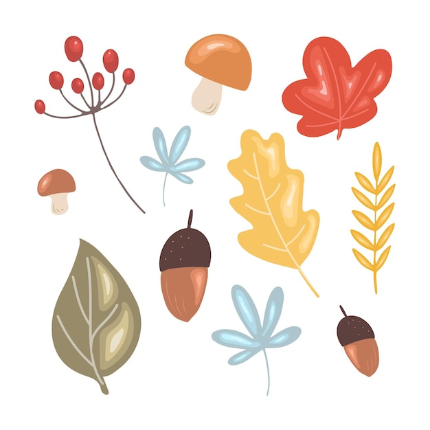 Thanksgiving floral set Leaves mushrooms berries and acorns isolated on white background