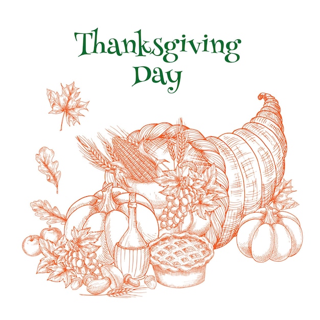 Vector thanksgiving harvest cornucopia greeting sketch