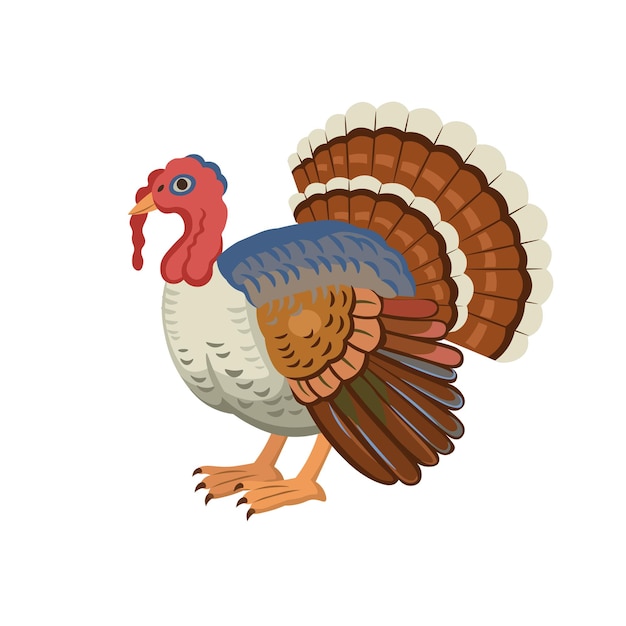 Vector thanksgiving turkey cartoon turkey on a white background  artoon illustration