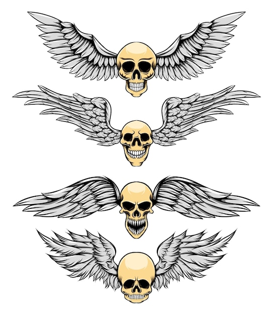 The thin human skull with the silver wing for the logo inspiration of illustration