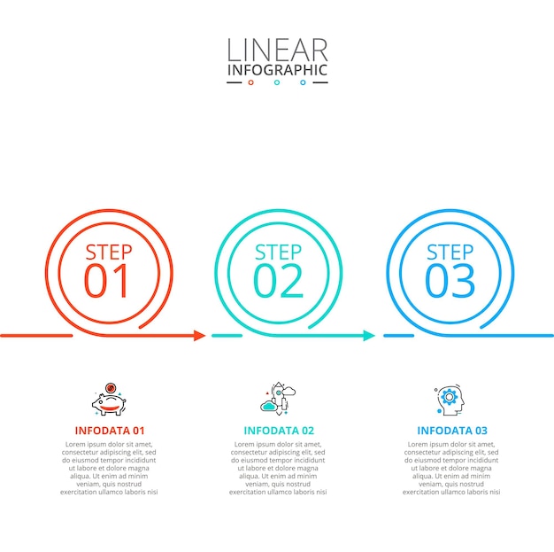 Thin line flat circles for infographic with 3 options parts steps or processes