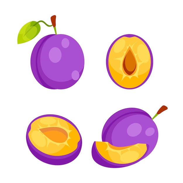 Vector this illustration shows four purple plums some sliced in half and some whole with leaves