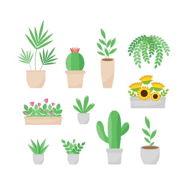 This is a collection of houseplants on a white background