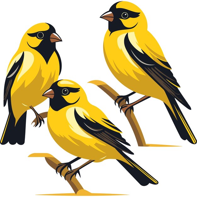 Vector three birds of different colors are shown with one yellow one that has the number 3 on it