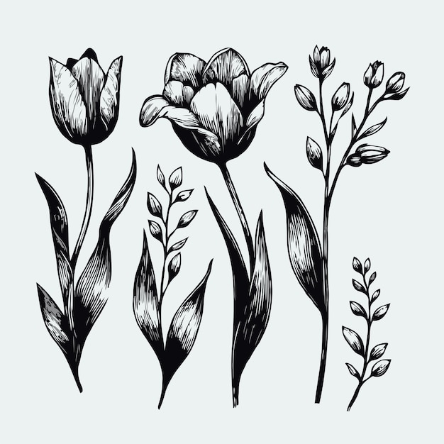 three black and white drawings of flowers and plants