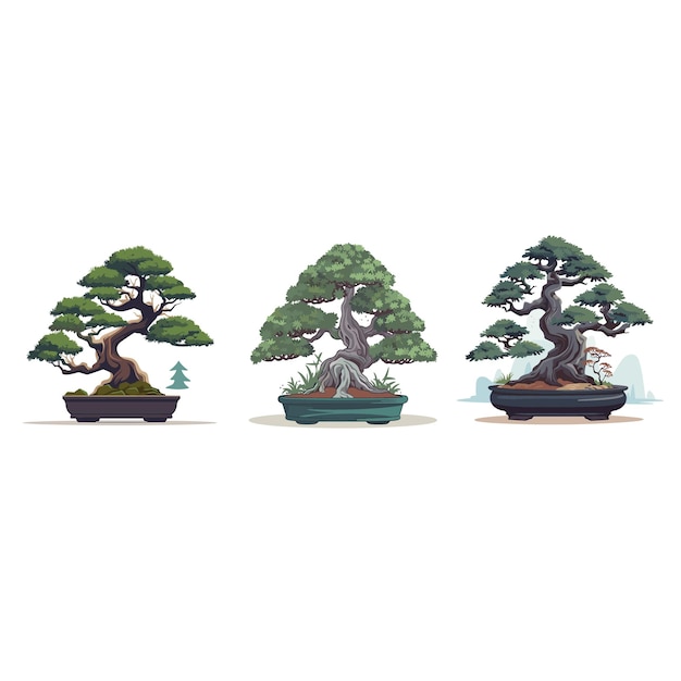 Vector three bonsai trees are shown in a row with the middle one being the tallest