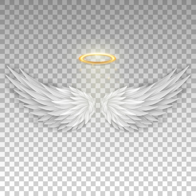 Three dimensional angel white wings and shiny nimbus. Realistic saint aureole (halo) and wings