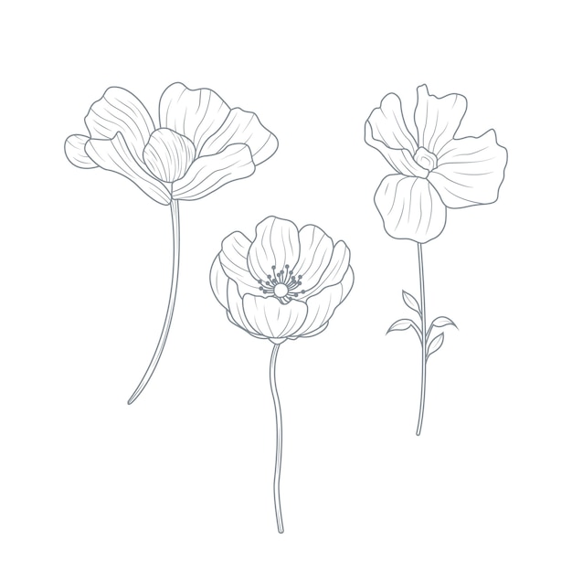 Vector three flowers drawn on a white background with a blue outline