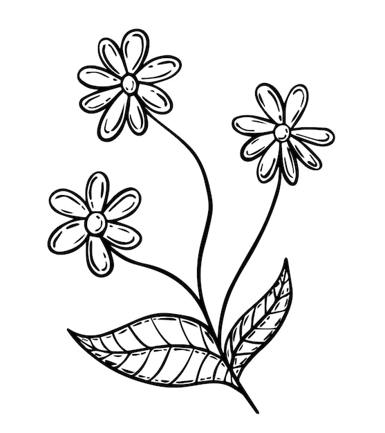 Three flowers with leaves doodle linear