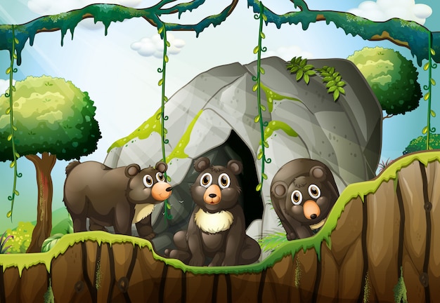 Three little bears by the cave