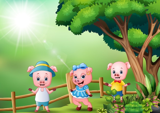 Three little pig playing at nature