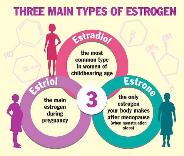 Three main types of estrogen Infographics Estradiol estrone and estriol Estrogen hormone levels