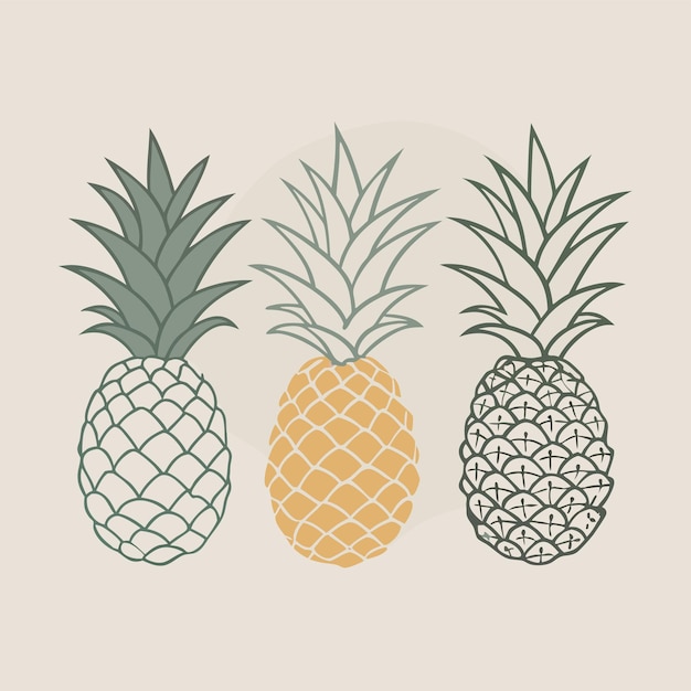 Vector three pineapples with pineapples on them