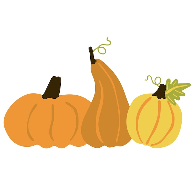 Three pumpkins and leaves Decorative image of autumn vegetable and plant Halloween thanksgiving