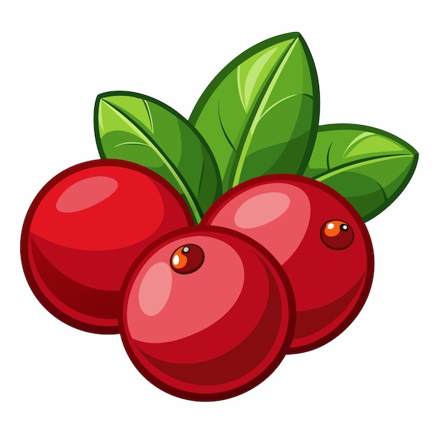 Vector three red cranberries with green leaves