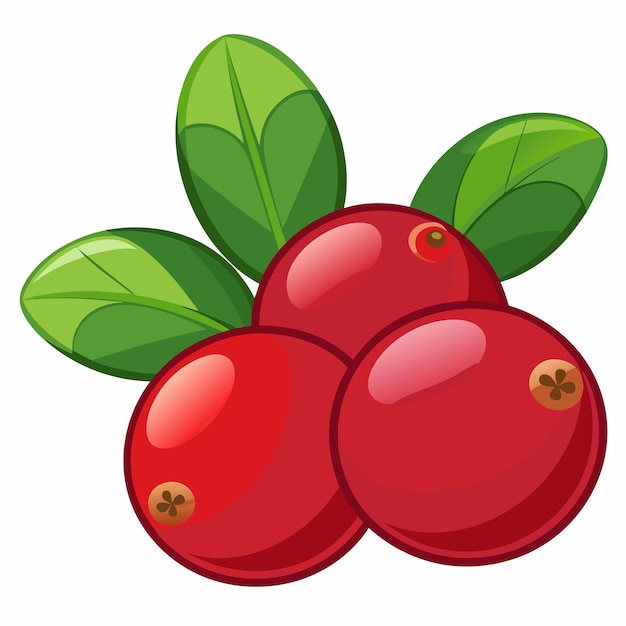 Three Red Cranberries with Green Leaves