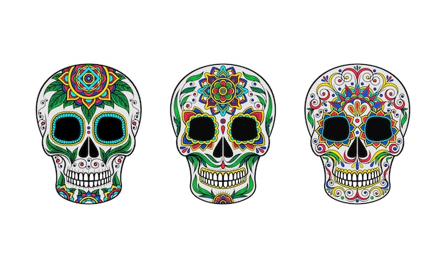 Three skulls are decorated with patterns Vector illustration