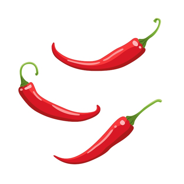 Three spice chili pepper vector colored illustration