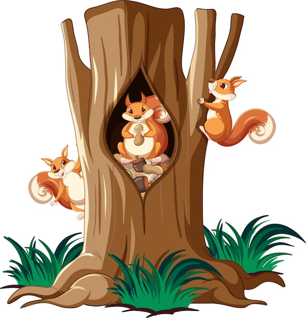 Three squirrels climbing tree