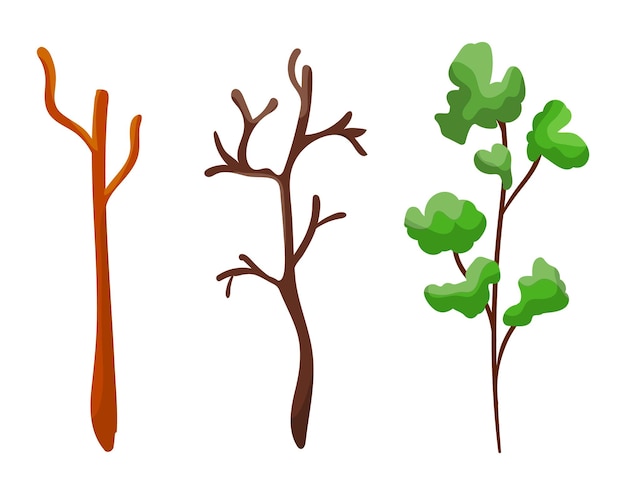 Three stages of tree growth from bare to leafy Cartoon sapling development seasonal tree life cycle Nature environment and growth concept vector illustration